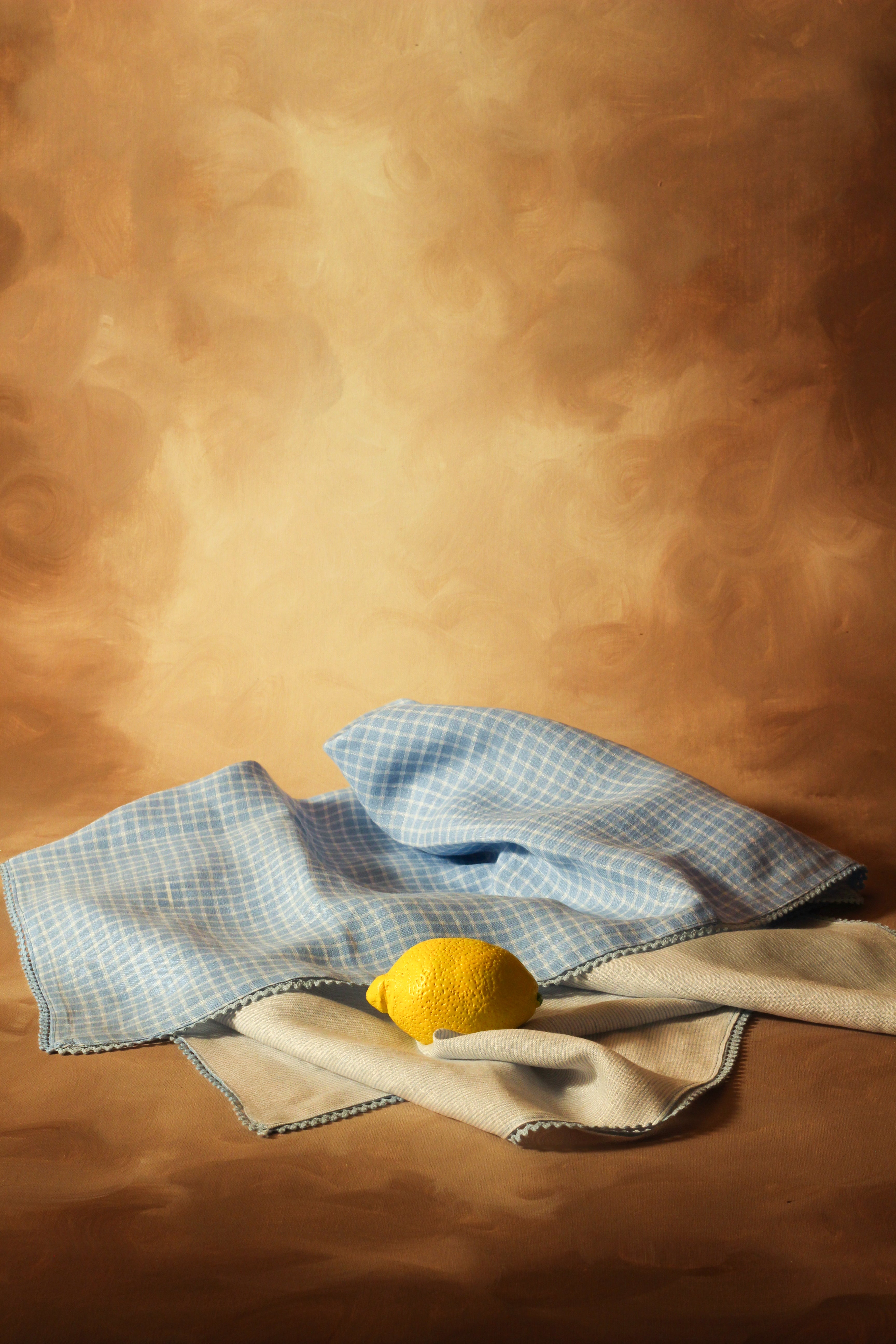 Trapo de cocina azul cuadros