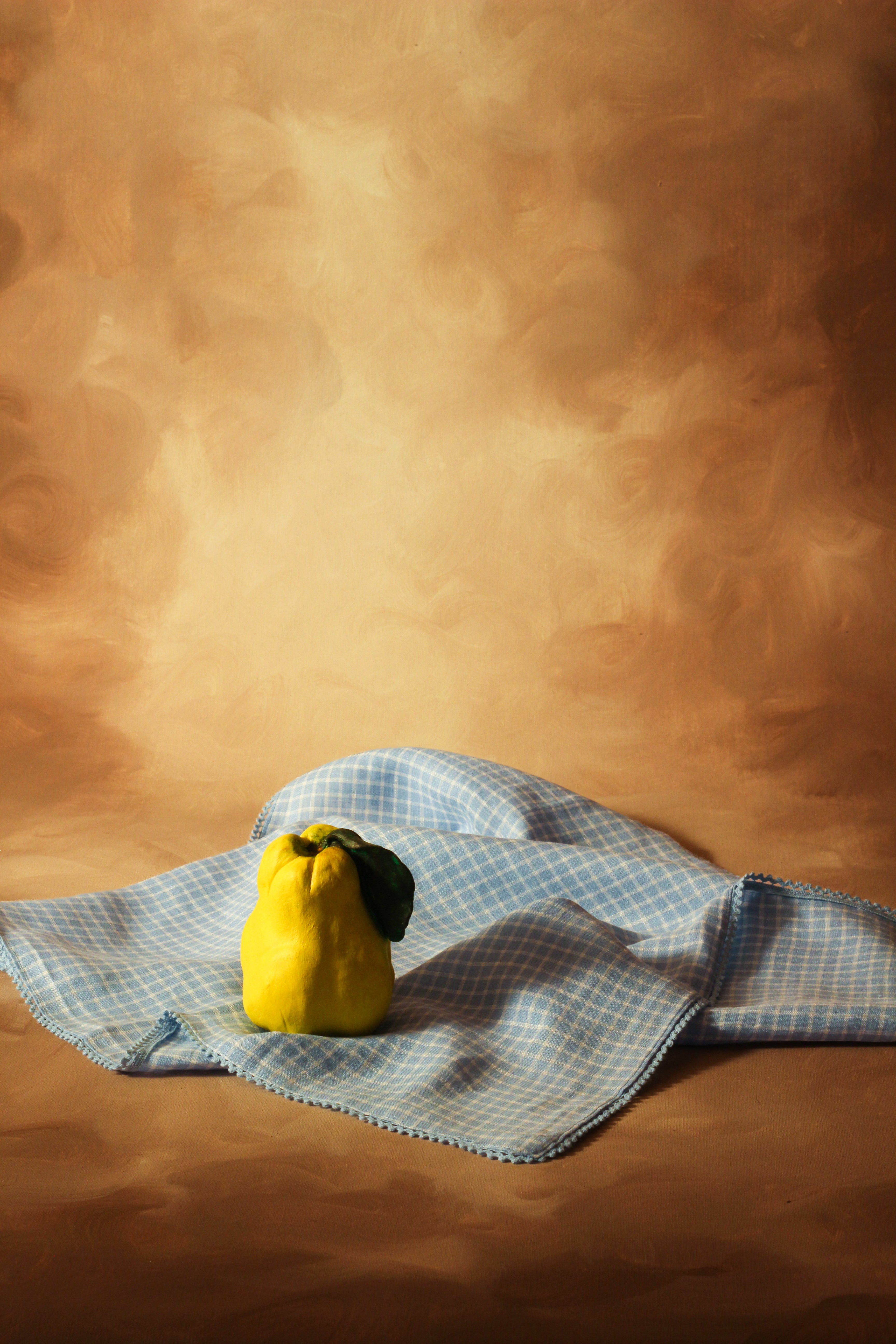 Trapo de cocina azul cuadros