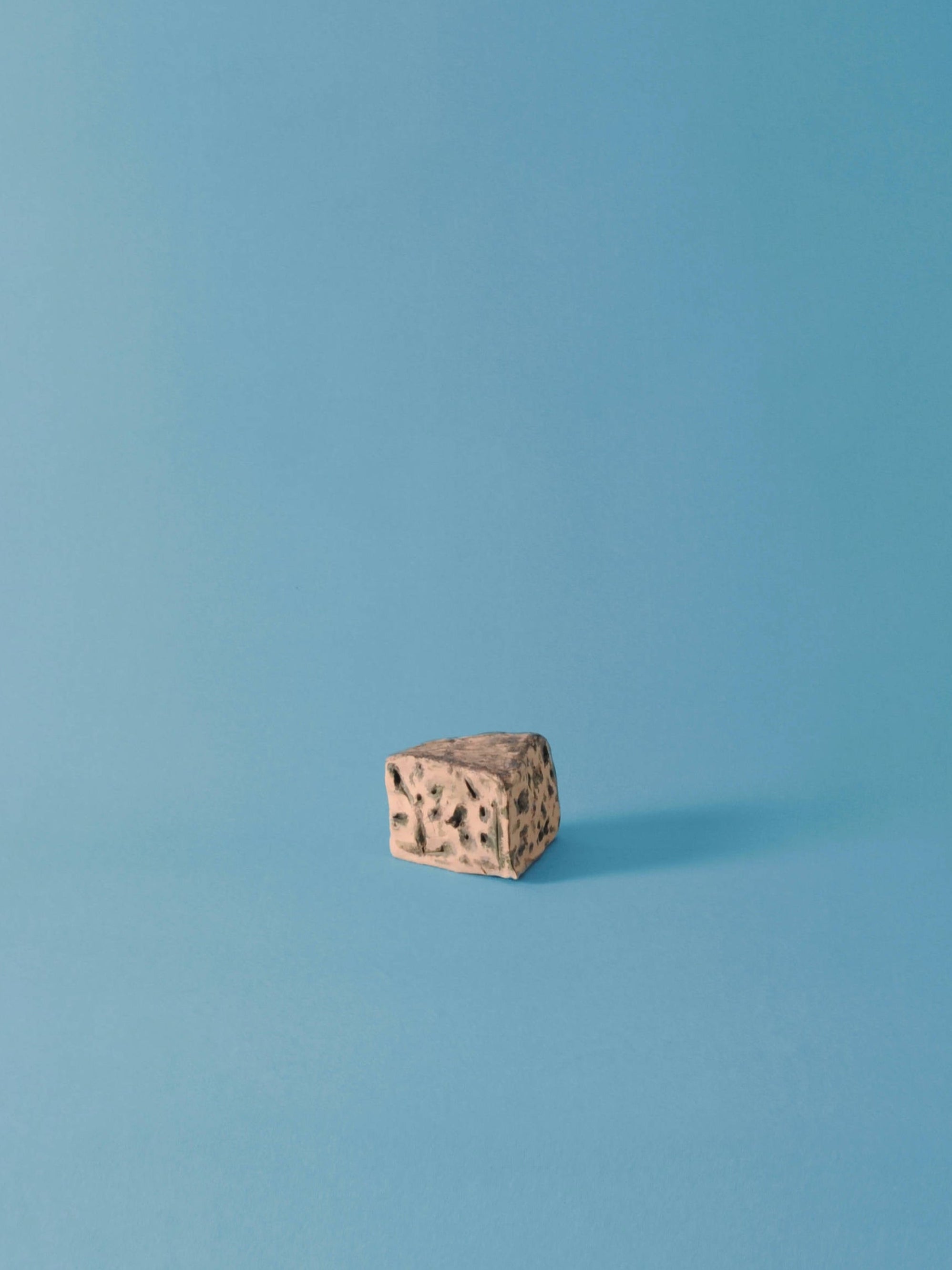 Souvenir queso de Valdeón